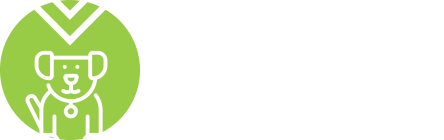 Visual Data Insights